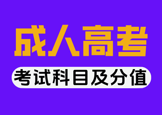 2026年成人高考考试科目